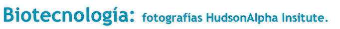 Biotecnología: fotografías HudsonAlpha Insitute.